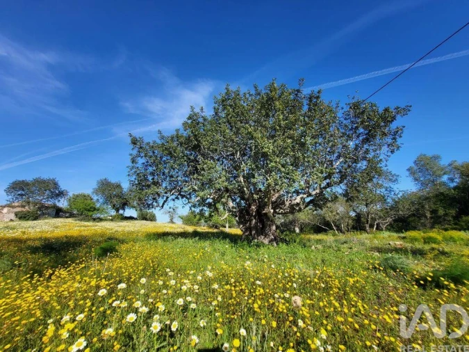 Terreno para Venda em Santa Catarina da Fonte do Bispo Foto 20