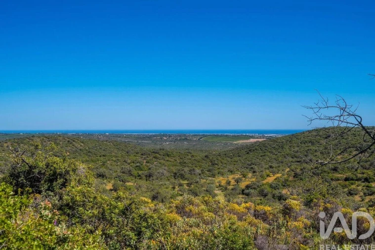 Terreno para Venda em Santa Catarina da Fonte do Bispo Foto 18