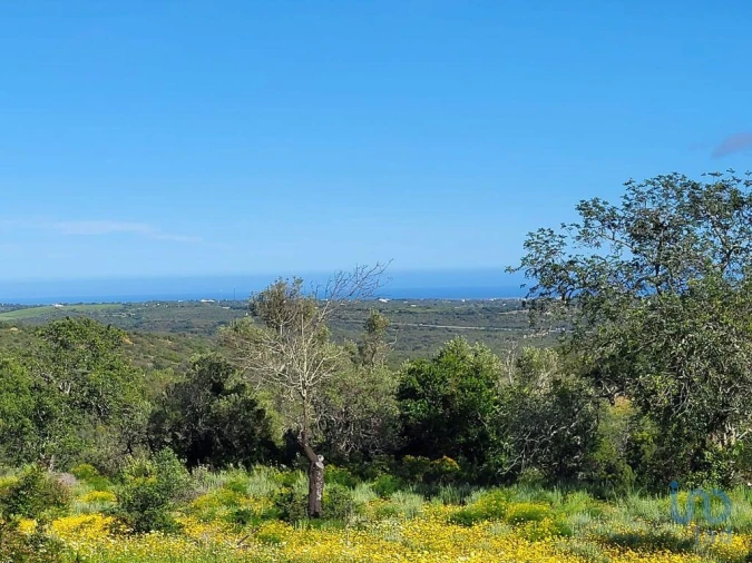 Terreno para Venda em Santa Catarina da Fonte do Bispo Foto 7