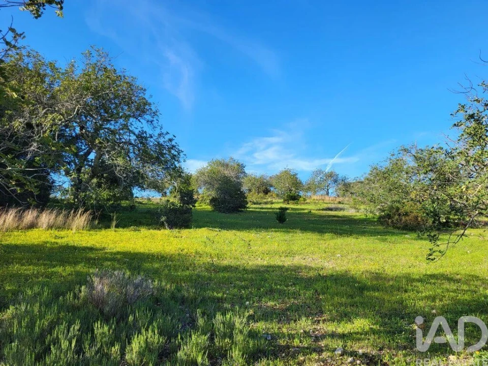 Terreno para Venda em Santa Catarina da Fonte do Bispo Foto 17