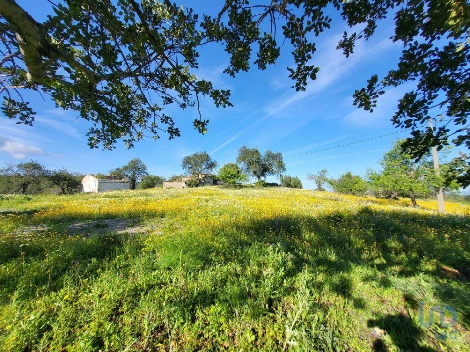 Terreno para Venda em Santa Catarina da Fonte do Bispo Foto 12