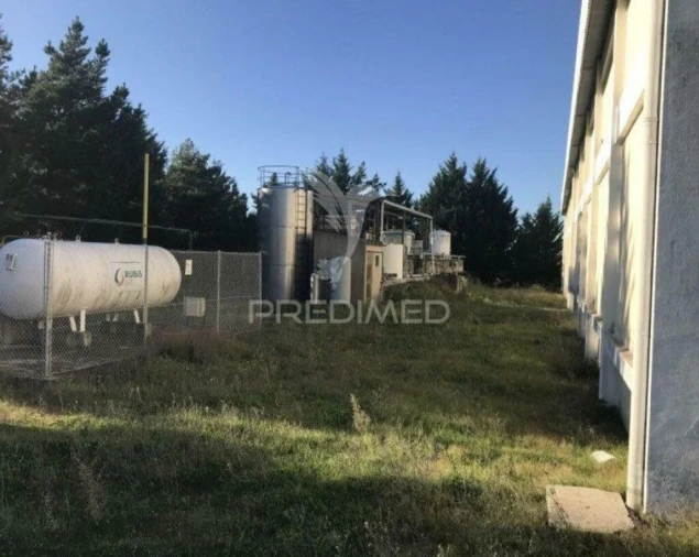 Armazém para Venda em Idanha-A-Nova e Alcafozes Foto 3