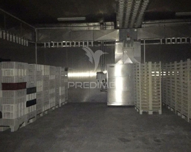 Armazém para Venda em Idanha-A-Nova e Alcafozes Foto 7