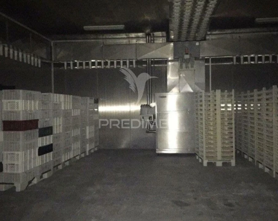 Armazém para Venda em Idanha-A-Nova e Alcafozes Foto 7