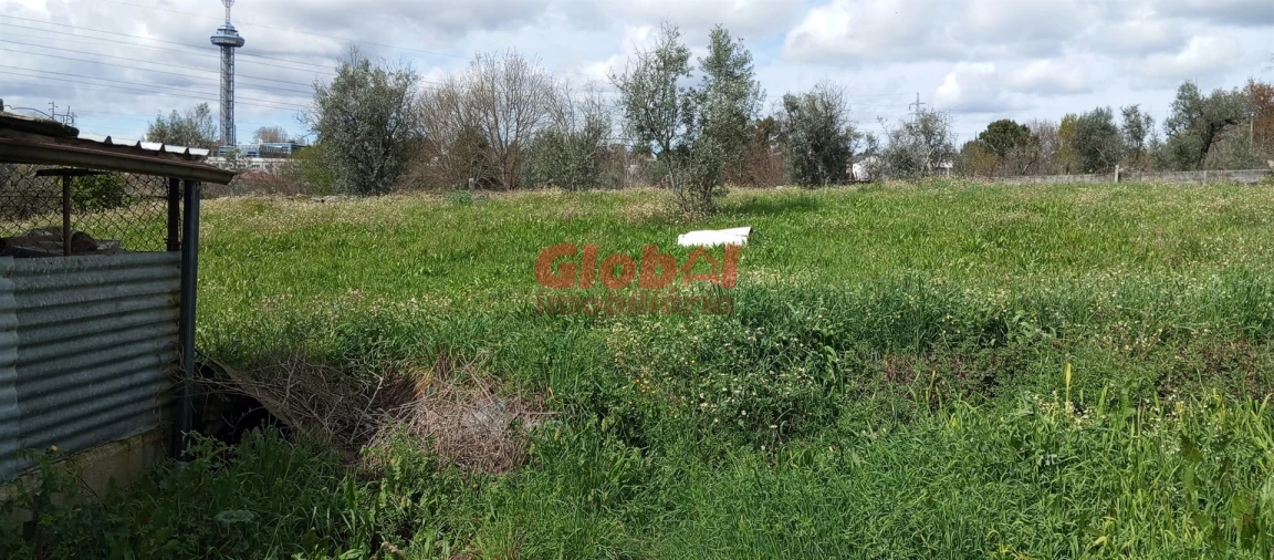 Terreno Agricola ou Rústico para Venda em Rio de Loba Foto 1