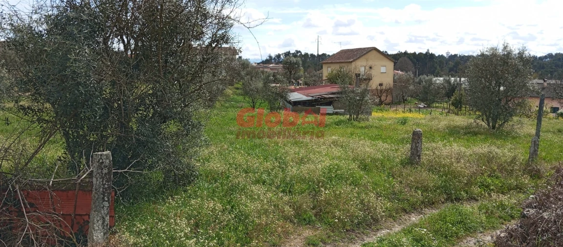Terreno Agricola ou Rústico para Venda em Rio de Loba Foto 5