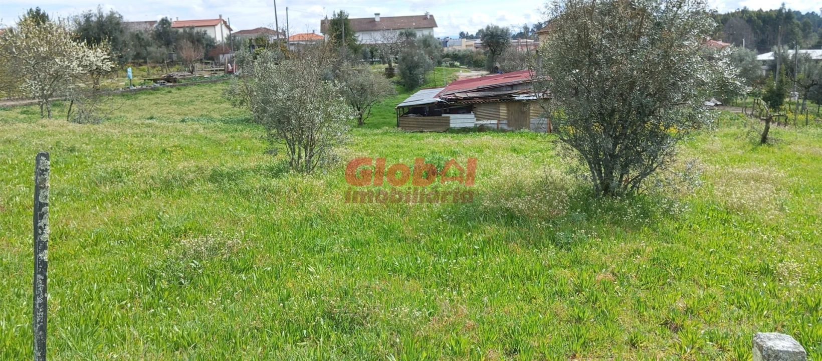 Terreno Agricola ou Rústico para Venda em Rio de Loba Foto 4
