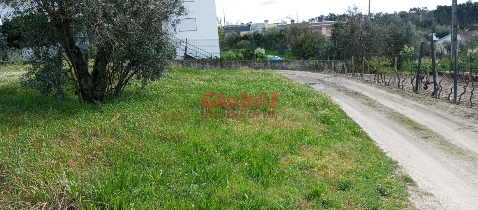 Terreno Agricola ou Rústico para Venda em Rio de Loba Foto 3