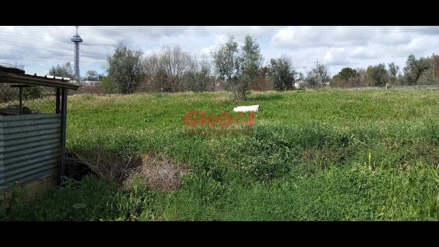 Terreno Agricola ou Rústico para Venda em Rio de Loba