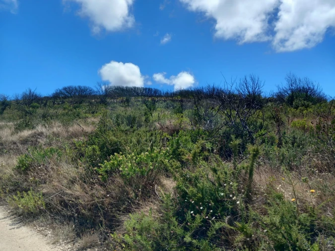 Terreno para Venda em Fanhões Foto 6