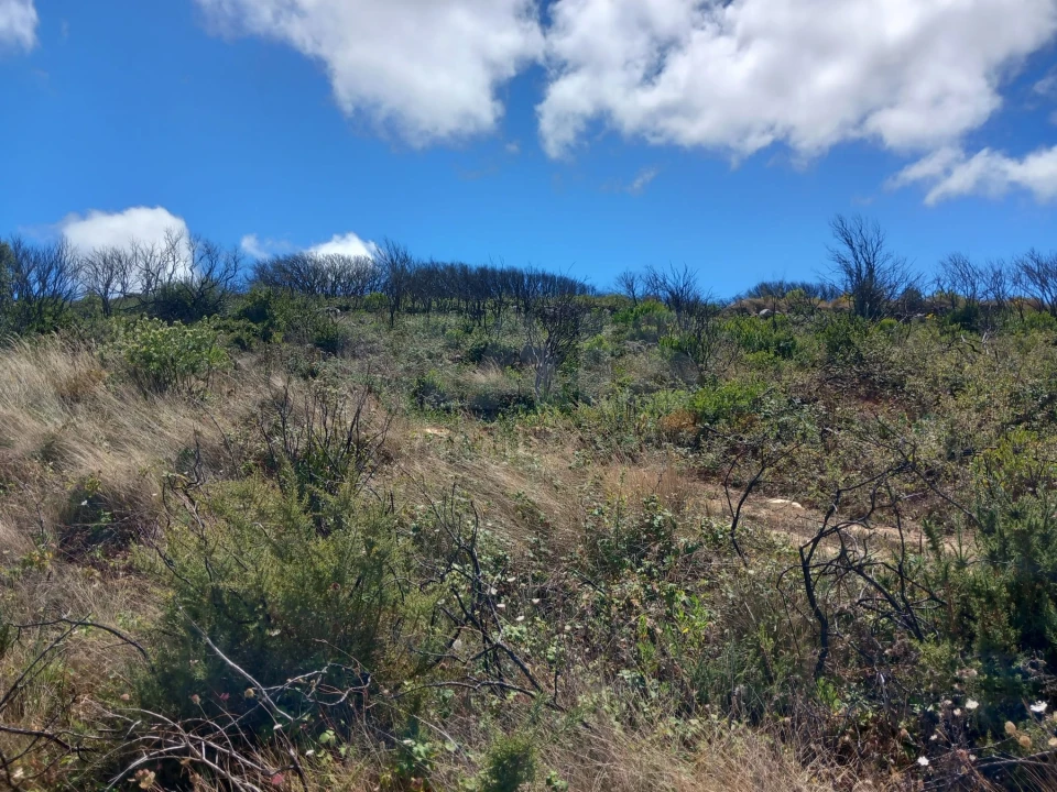 Terreno para Venda em Fanhões Foto 2