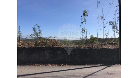 Terreno para Venda em Canedo, Vale e Vila Maior