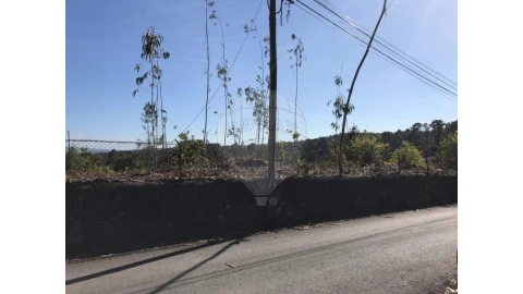 Terreno para Venda em Canedo, Vale e Vila Maior