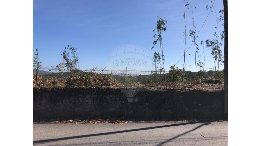 Terreno para Venda em Canedo, Vale e Vila Maior Foto 3