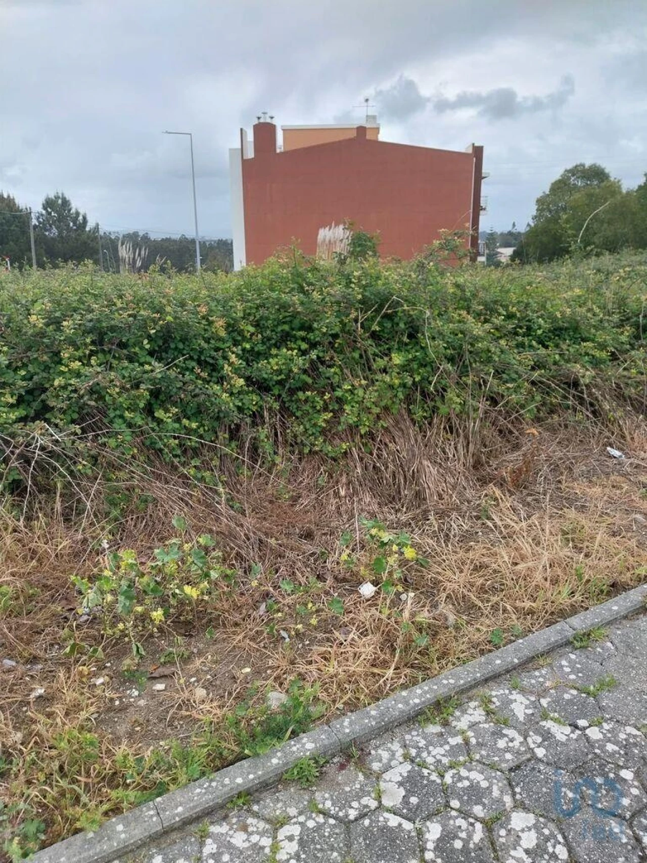 Terreno para Venda em Argoncilhe Foto 4