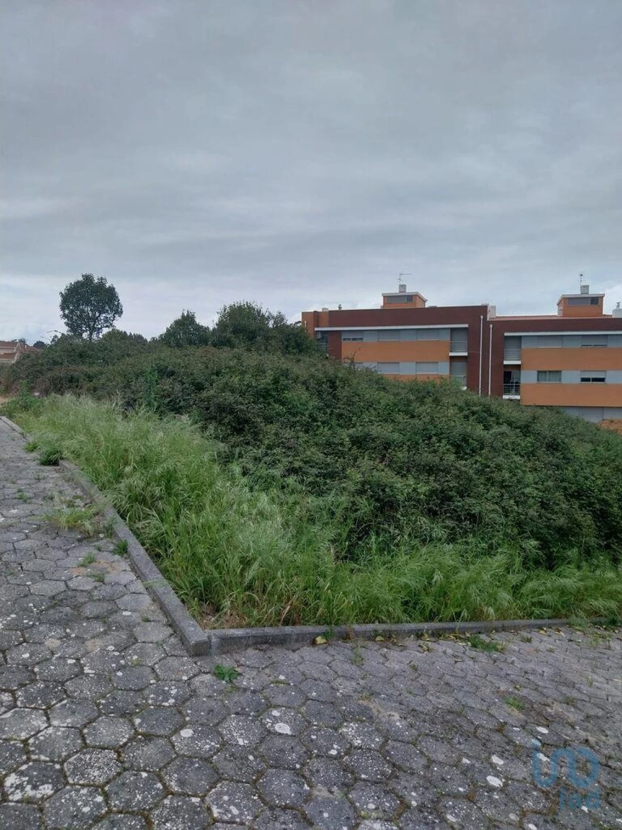 Terreno para Venda em Argoncilhe Foto 3