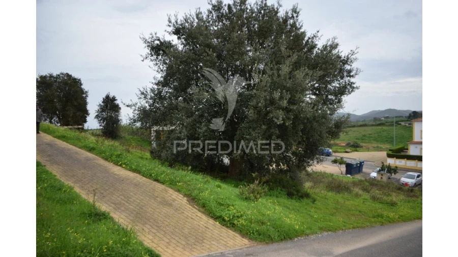 Terreno para Venda em Cercal Foto 4