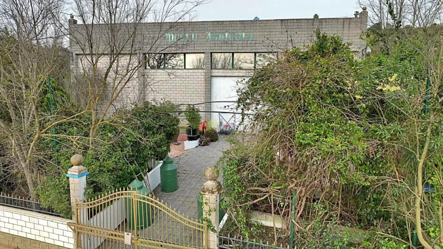 Armazém para Venda em Nossa Senhora da Vila, Nossa Senhora do Bispo e Silveiras Foto 4