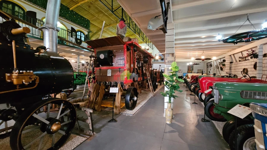 Armazém para Venda em Nossa Senhora da Vila, Nossa Senhora do Bispo e Silveiras Foto 67