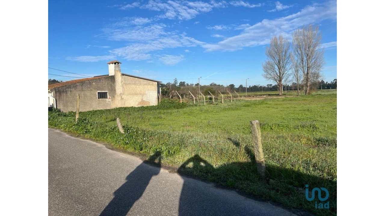 Terreno para Venda em Beduído e Veiros Foto 2