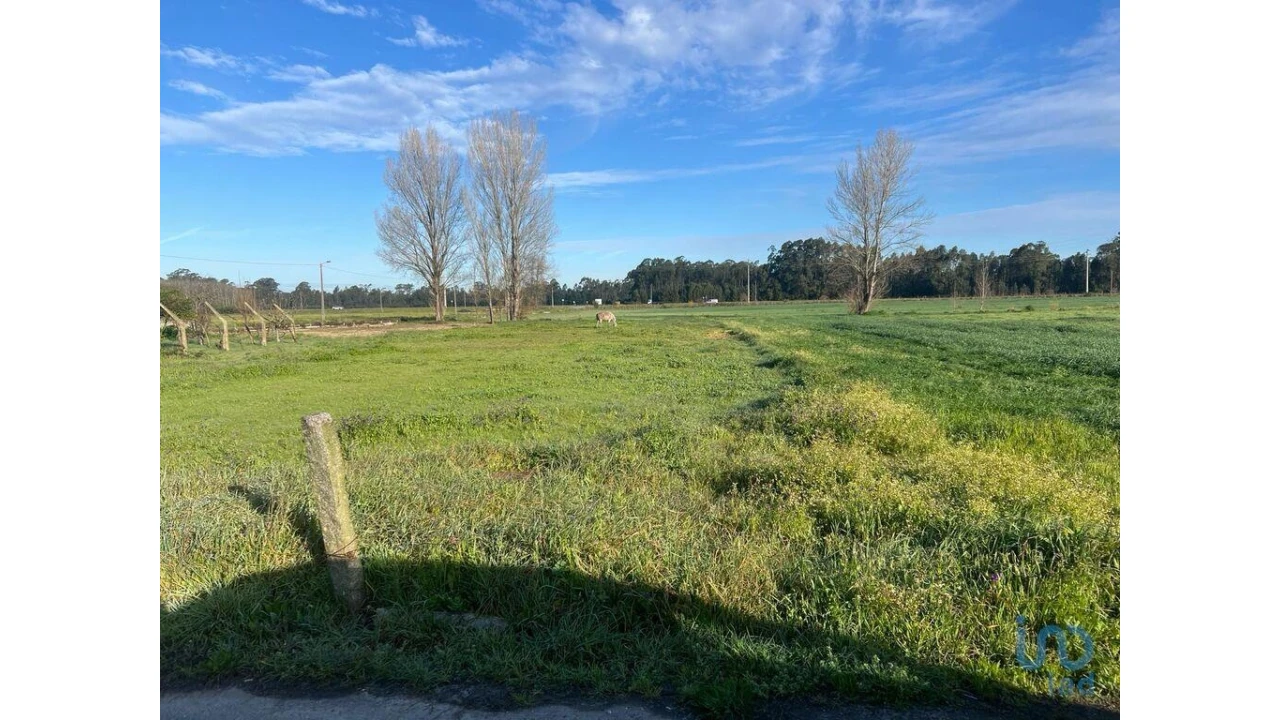 Terreno para Venda em Beduído e Veiros Foto 1