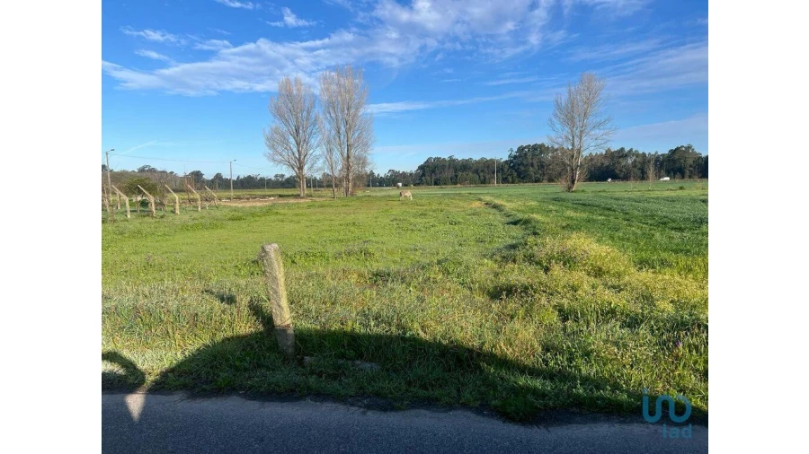 Terreno para Venda em Beduído e Veiros Foto 3