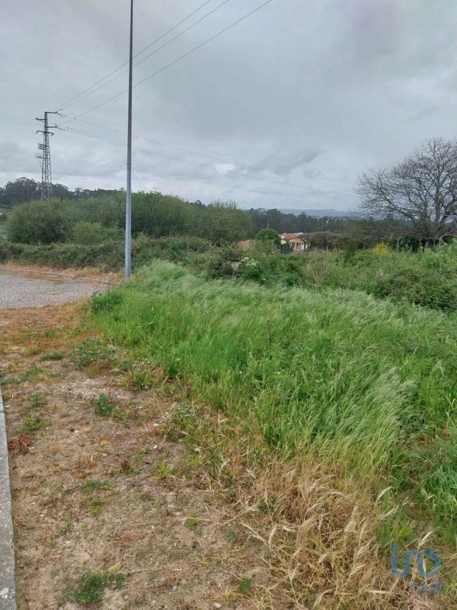 Terreno para Venda em Argoncilhe Foto 3
