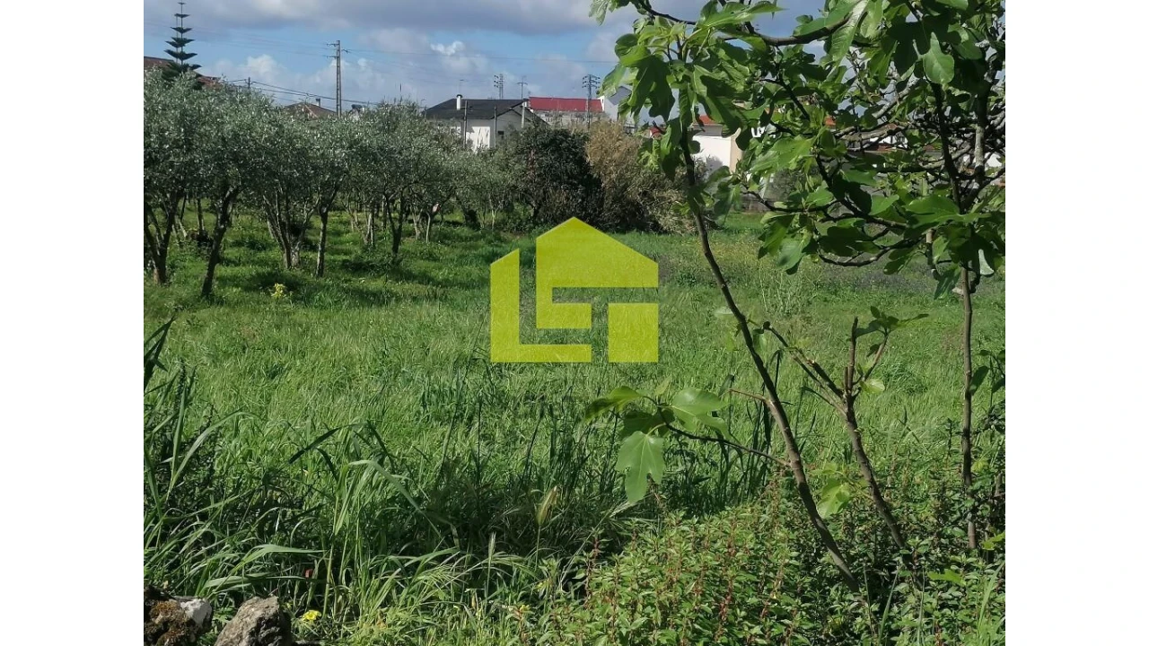 Terreno para Venda em Condeixa-A-Velha e Condeixa-A-Nova Foto 11