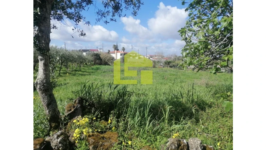 Terreno para Venda em Condeixa-A-Velha e Condeixa-A-Nova Foto 1