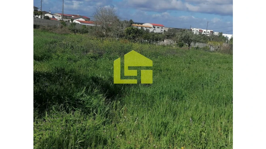 Terreno para Venda em Condeixa-A-Velha e Condeixa-A-Nova Foto 4