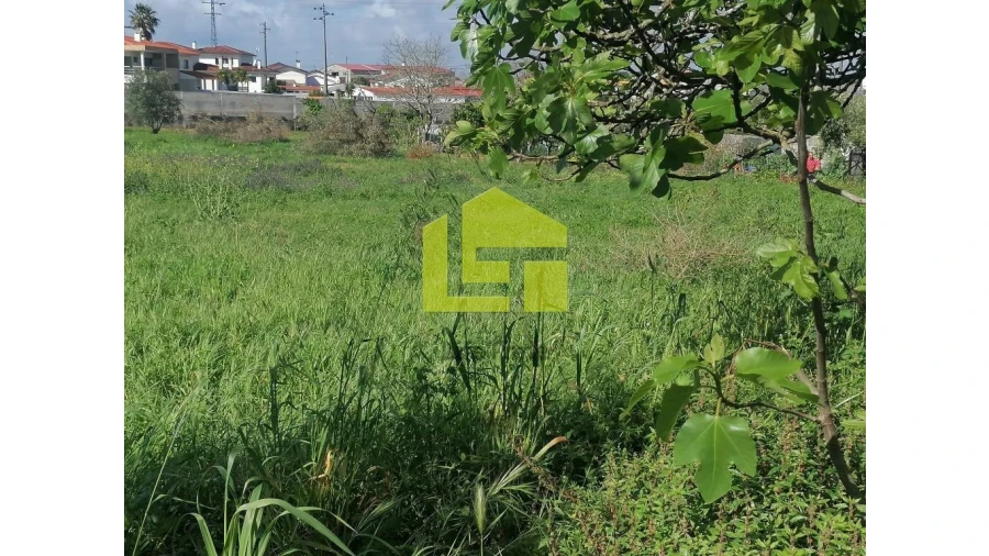 Terreno para Venda em Condeixa-A-Velha e Condeixa-A-Nova Foto 10