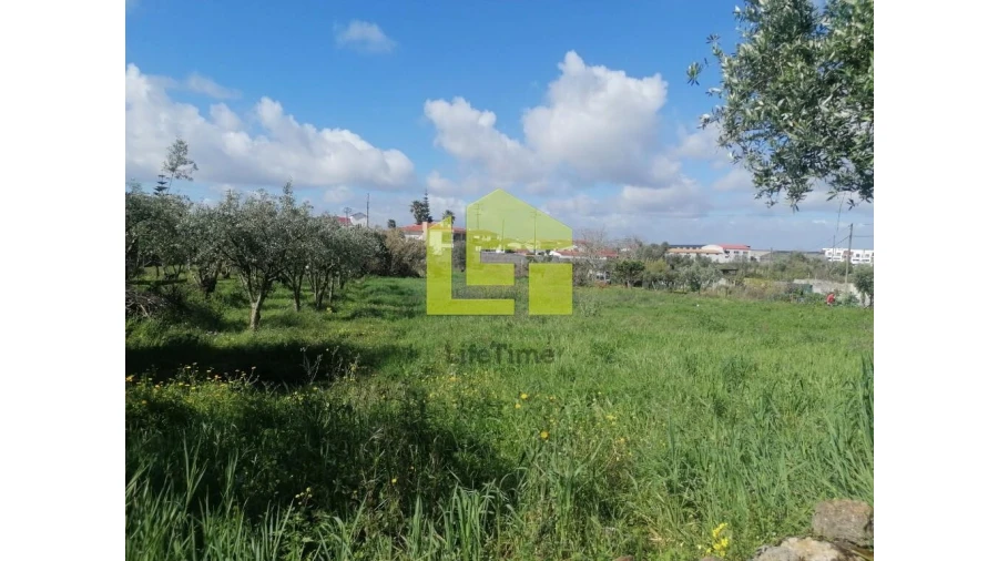 Terreno para Venda em Condeixa-A-Velha e Condeixa-A-Nova Foto 20