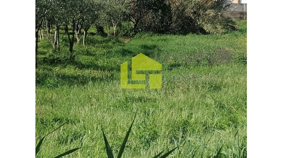 Terreno para Venda em Condeixa-A-Velha e Condeixa-A-Nova Foto 21