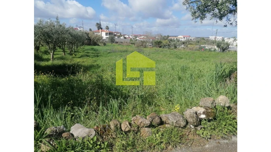 Terreno para Venda em Condeixa-A-Velha e Condeixa-A-Nova Foto 18