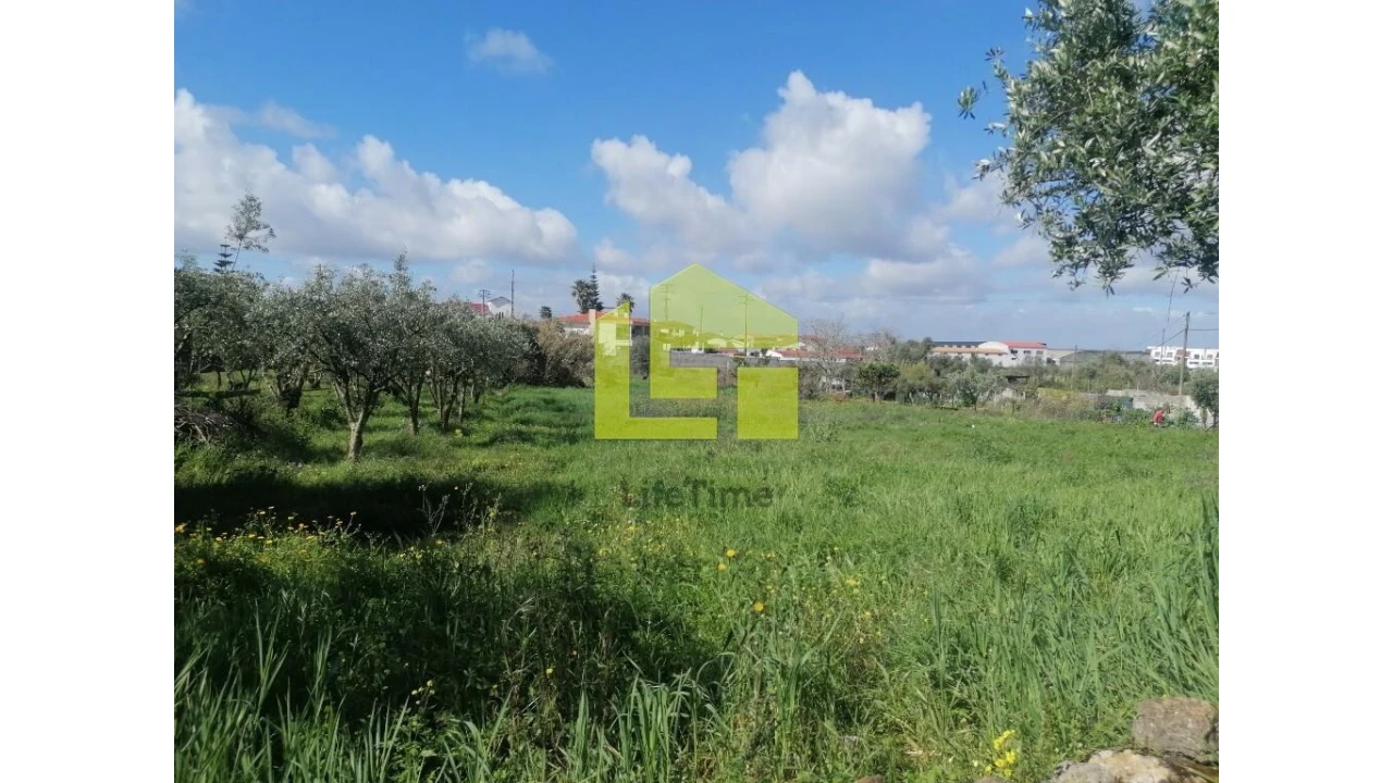 Terreno para Venda em Condeixa-A-Velha e Condeixa-A-Nova Foto 20