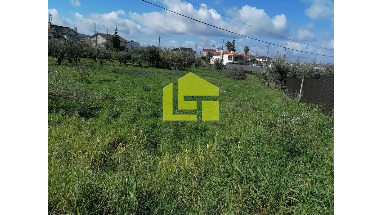 Terreno para Venda em Condeixa-A-Velha e Condeixa-A-Nova Foto 3