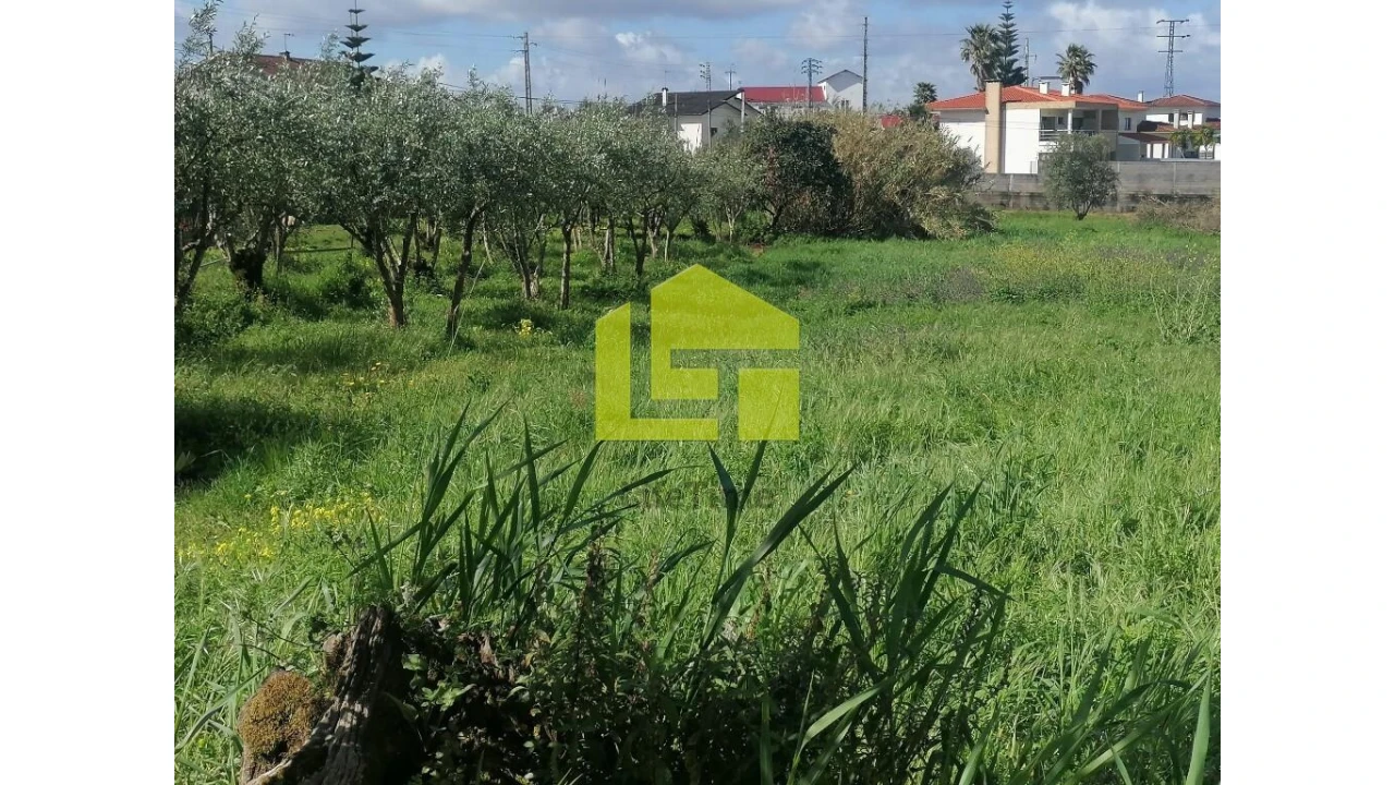 Terreno para Venda em Condeixa-A-Velha e Condeixa-A-Nova Foto 15