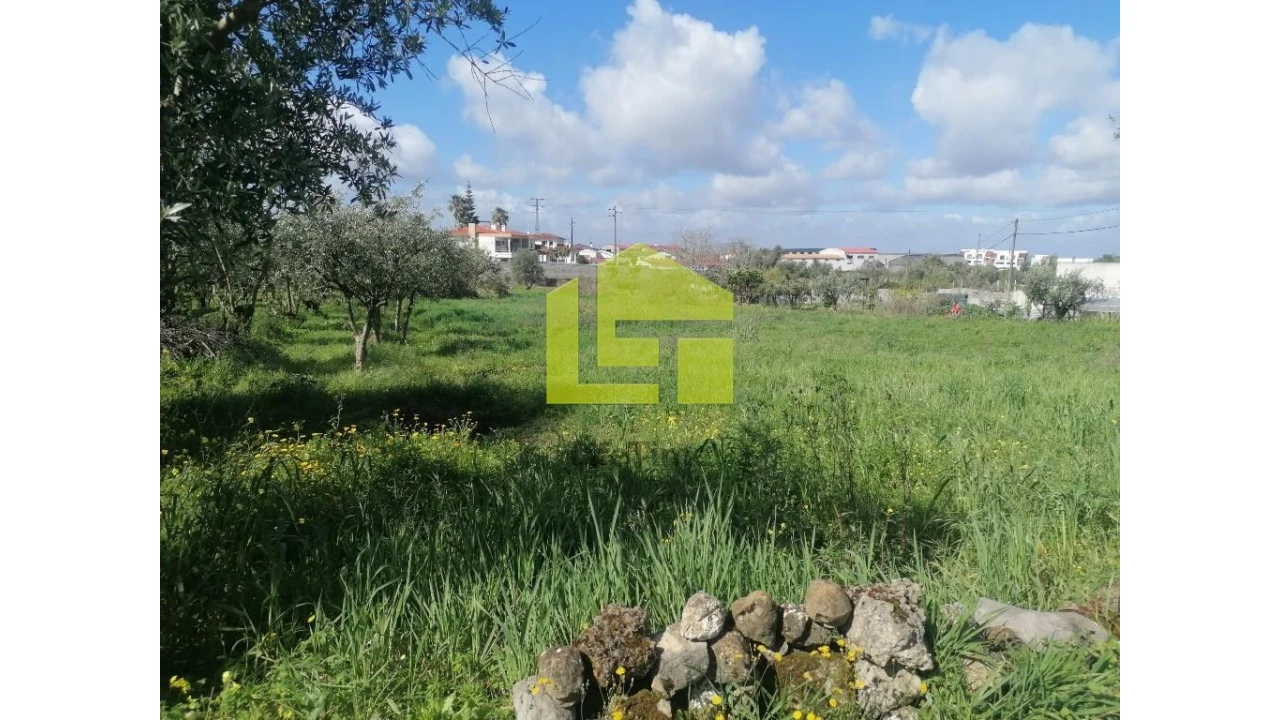 Terreno para Venda em Condeixa-A-Velha e Condeixa-A-Nova Foto 16
