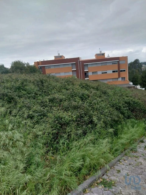 Terreno para Venda em Argoncilhe
