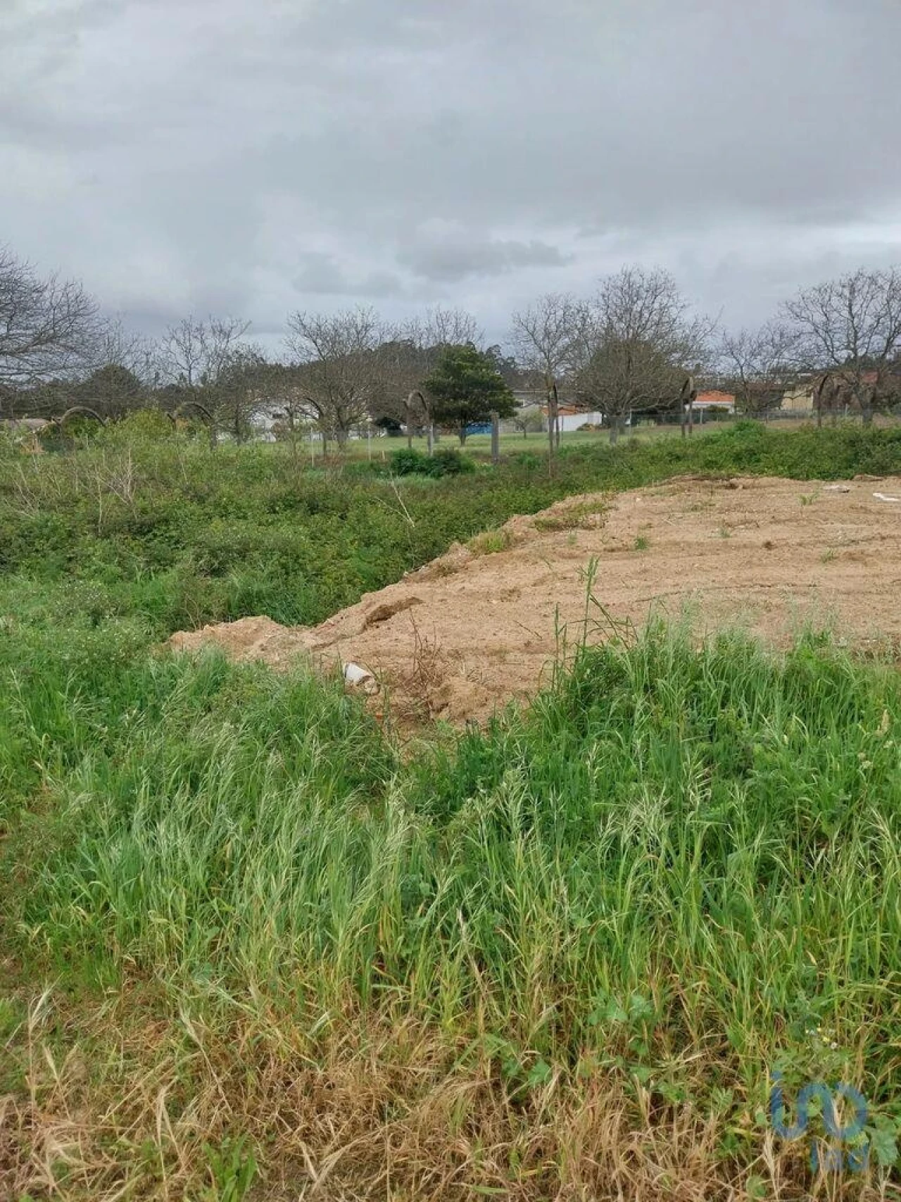 Terreno para Venda em Argoncilhe Foto 4