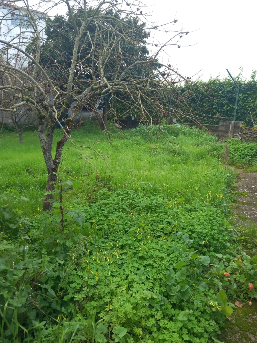 Moradia T4 para Venda em Olaia e Paço Foto 7