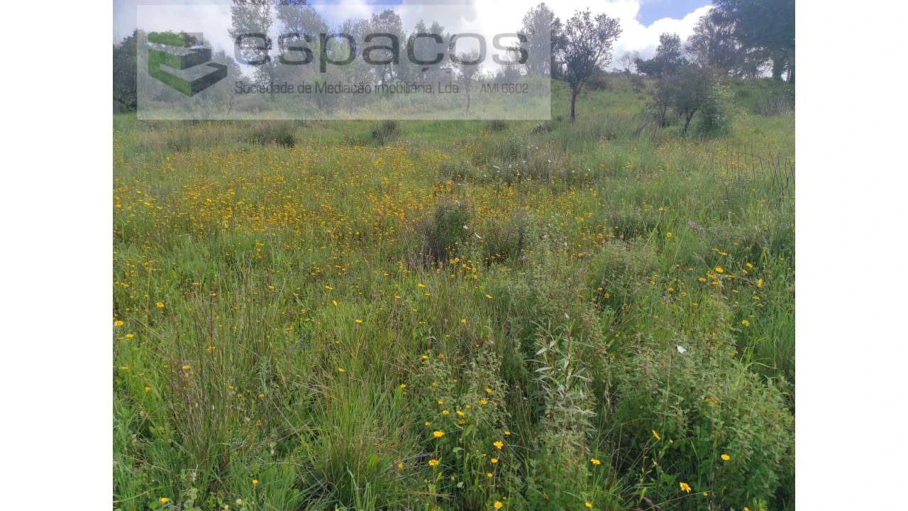 Terreno Agricola ou Rústico para Venda em Malpica do Tejo Foto 2