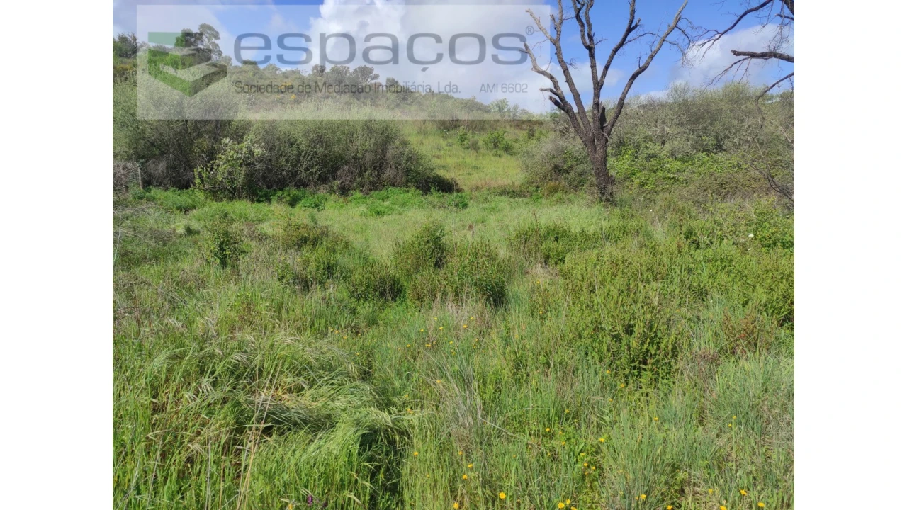 Terreno Agricola ou Rústico para Venda em Malpica do Tejo Foto 5