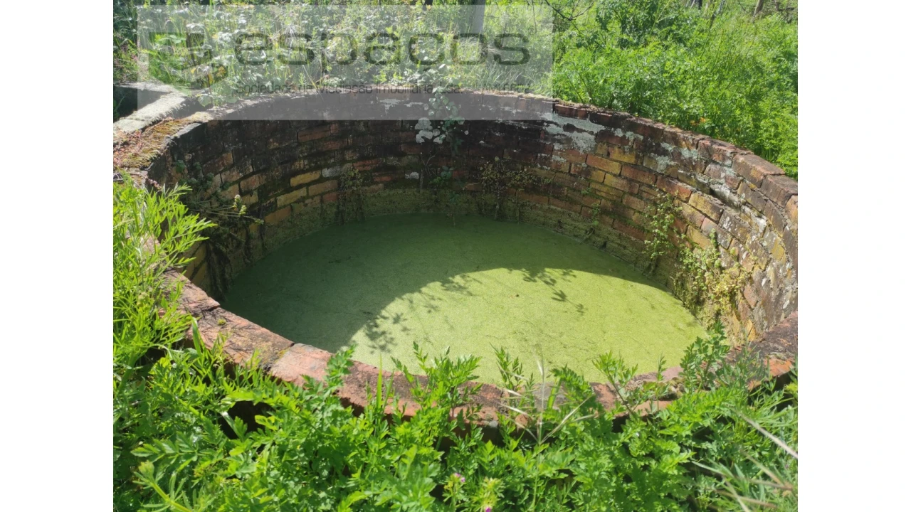 Terreno Agricola ou Rústico para Venda em Malpica do Tejo Foto 1