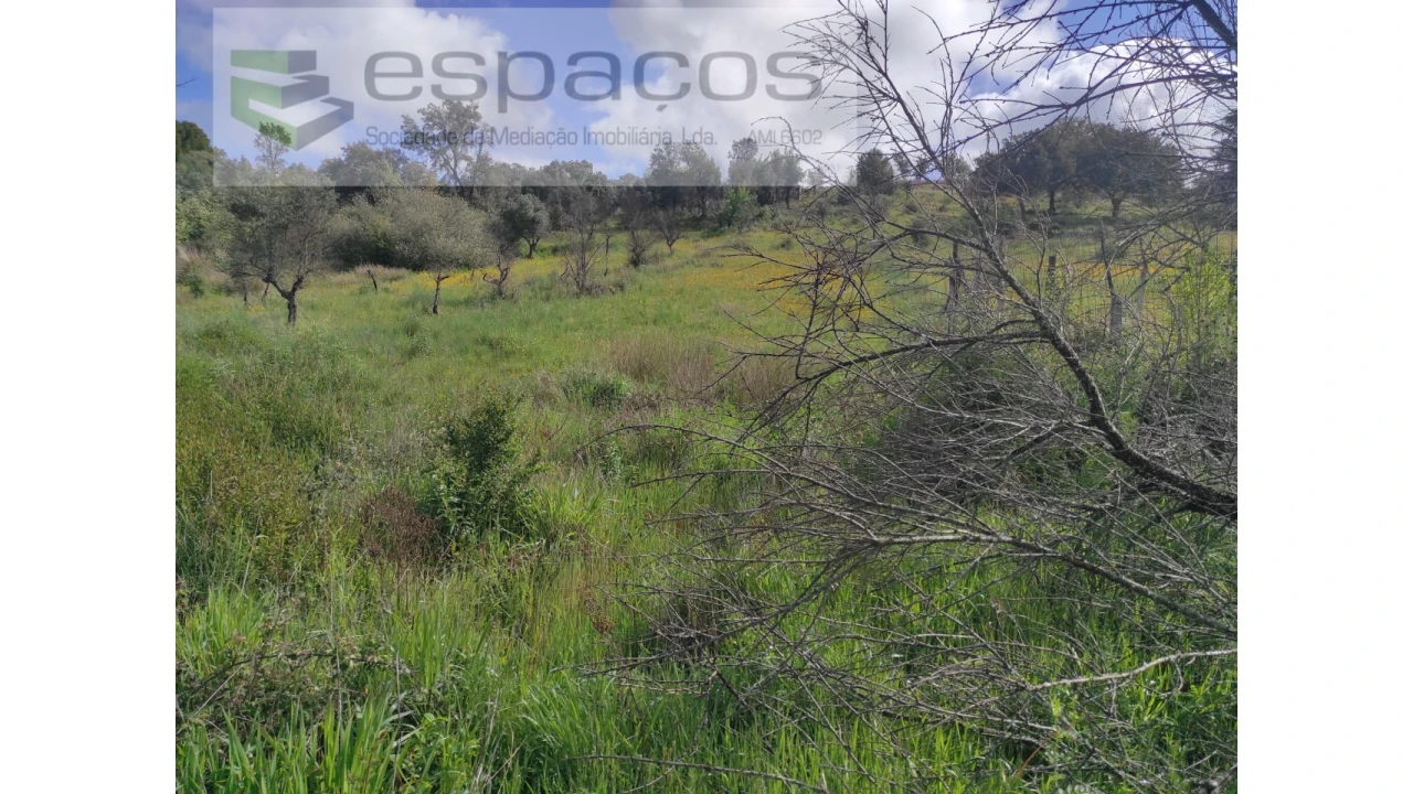 Terreno Agricola ou Rústico para Venda em Malpica do Tejo Foto 8