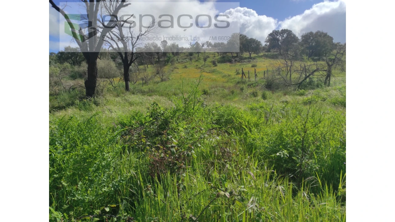 Terreno Agricola ou Rústico para Venda em Malpica do Tejo Foto 11
