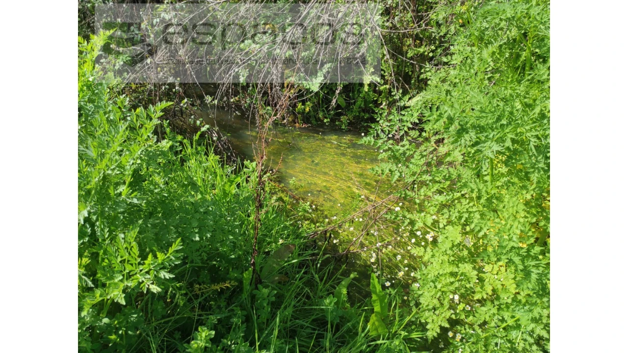 Terreno Agricola ou Rústico para Venda em Malpica do Tejo Foto 12