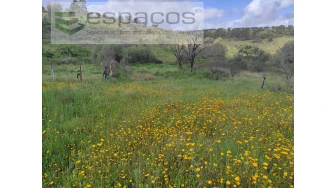 Terreno Agricola ou Rústico para Venda em Malpica do Tejo