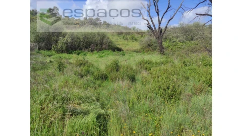Terreno Agricola ou Rústico para Venda em Malpica do Tejo
