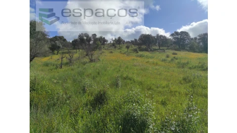 Terreno Agricola ou Rústico para Venda em Malpica do Tejo